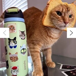 Owala Cat-Themed Water Bottle - Green